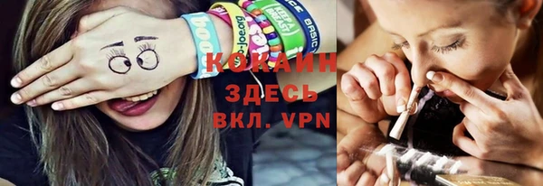 шишки Вяземский