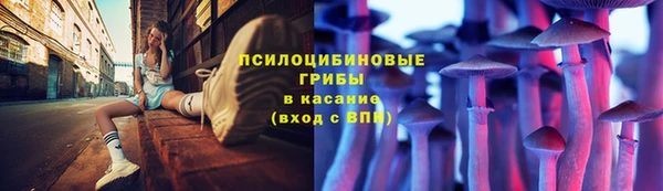 шишки Вяземский