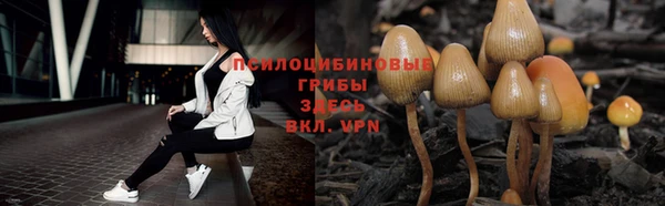 ПСИЛОЦИБИНОВЫЕ ГРИБЫ Вязьма