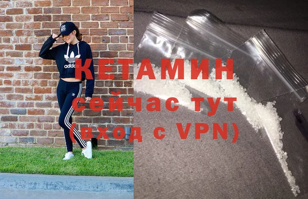 шишки Вяземский