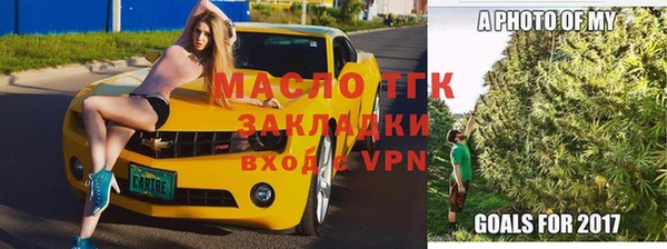 шишки Вяземский