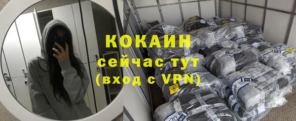 шишки Вяземский