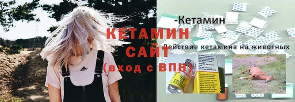 ПСИЛОЦИБИНОВЫЕ ГРИБЫ Вязьма