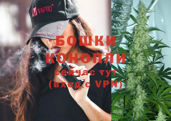 шишки Вяземский