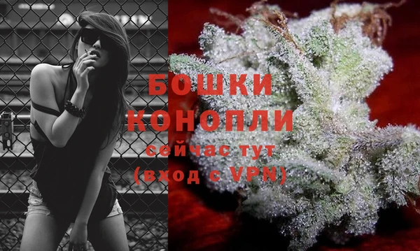 ПСИЛОЦИБИНОВЫЕ ГРИБЫ Вязьма
