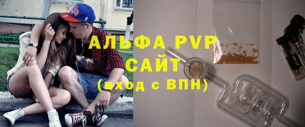 шишки Вяземский